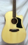 Cole Clark Fat Lady FL1AC Dreadnought Bunya/Queensland Maple Acoustic Electric Guitar w/ Cutaway