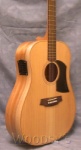 Cole Clark Fat Lady FL1A Dreadnought Buynya/Queensland Maple Acoustic Electric Guitar