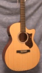 Martin  GPCPA4 with Fishman F1