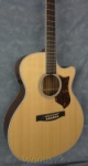Martin  GPCPA3 Acou/elect Guitar