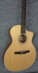 Taylor 214CEN 214CE-Nylon String